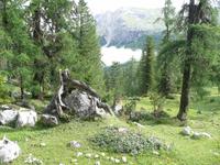 Zur Rossalm - Gastfoto &ndash; &copy; Anne Sturm (Eberhardt TRAVEL)