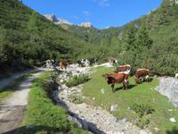 im Pragsertal &ndash; &copy; Jürgen Schmeißer (Eberhardt TRAVEL)