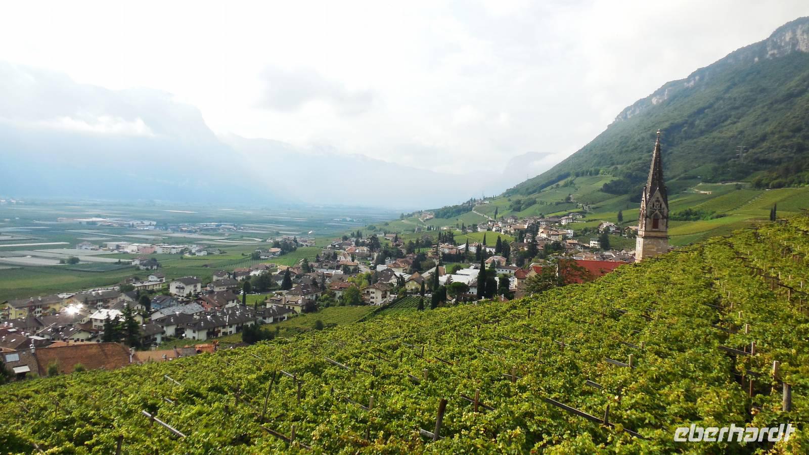 Blick auf Tramin &ndash; &copy; Petra Sauer (Eberhardt TRAVEL)