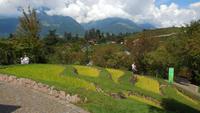 Reis &ndash; &copy; Petra Sauer (Eberhardt TRAVEL)