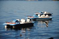 Garda &ndash; &copy; Philipp Schmitz (Eberhardt TRAVEL)