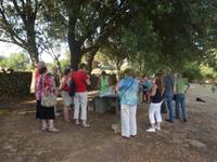 Süßes Probieren  &ndash; &copy; Sandra Rößle (Eberhardt TRAVEL)