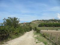 Wirtschaftsweg &ndash; &copy; Petra Scherbaum (Eberhardt TRAVEL)