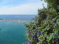 Agropoli, Hafen &ndash; &copy; Petra Scherbaum (Eberhardt TRAVEL)