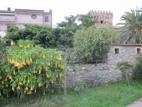 Pioppi &ndash; &copy; Petra Scherbaum (Eberhardt TRAVEL)