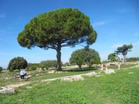 Paestum &ndash; &copy; Petra Scherbaum (Eberhardt TRAVEL)