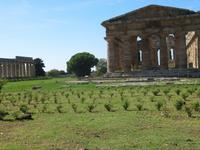 Paestum &ndash; &copy; Petra Scherbaum (Eberhardt TRAVEL)