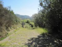 Velia &ndash; &copy; Petra Scherbaum (Eberhardt TRAVEL)