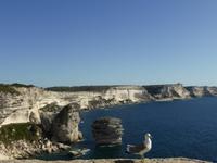 Bonifacio  &ndash; &copy; Claudia Bernhardt (Eberhardt TRAVEL)