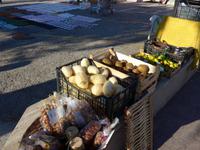 Cilento, Markt von Casal Velino, getrocknete Feigen,Pimpinella, Kiwi, Mandarinen &ndash; &copy; Ria Heilmann (Eberhardt TRAVEL)