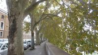 ein Spaziergang entlang des Tiber am letzten Tag &ndash; &copy; Anne-Maria Friedrich (Eberhardt TRAVEL)
