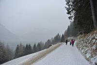 Auf dem Weg zum Grienhof am Reschensee &ndash; &copy; Gerd Przybyla (Eberhardt TRAVEL)