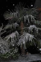Weihnachtsstimmung auch am Hotel Rotwand &ndash; &copy; Philipp Schmitz (Eberhardt TRAVEL)