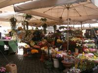 Blumen am Campo dei Fiori &ndash; &copy; Gabriele Schwarze (Eberhardt TRAVEL)