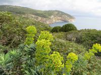 Lilienkap &ndash; &copy; Jürgen Schmeißer (Eberhardt TRAVEL)