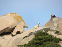 am Capo Tresta &ndash; &copy; Jürgen Schmeißer (Eberhardt TRAVEL)