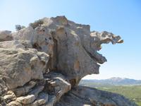 am Bärenfelsen &ndash; &copy; Jürgen Schmeißer (Eberhardt TRAVEL)