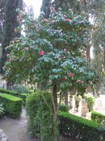 P1000196 &ndash; &copy; Philipp Schmitz (Eberhardt TRAVEL)