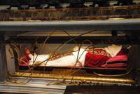 Grab von Papst Johannes XXIII &ndash; &copy; Philipp Schmitz (Eberhardt TRAVEL)