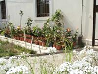 Frühling in Venedig &ndash; &copy; Ingrid Langer (Eberhardt TRAVEL)