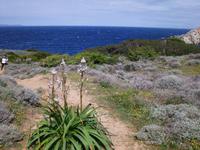 Capo Testa &ndash; &copy; Anne-Katrin Müller (Eberhardt TRAVEL)