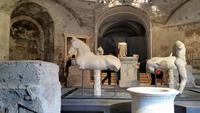 Forum Romanum18 &ndash; &copy; Thomas Mühlbauer (Eberhardt TRAVEL)