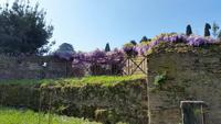 Forum Romanum20 &ndash; &copy; Thomas Mühlbauer (Eberhardt TRAVEL)