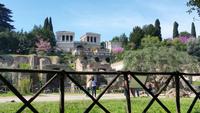 Forum Romanum23 &ndash; &copy; Thomas Mühlbauer (Eberhardt TRAVEL)