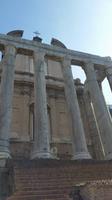 Forum Romanum8 &ndash; &copy; Thomas Mühlbauer (Eberhardt TRAVEL)