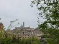 Siena
