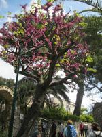 IMG_3805 &ndash; &copy; Kerstin Veit (Eberhardt TRAVEL)
