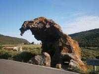 Der Elefant &ndash; &copy; Gabriele Schwarze (Eberhardt TRAVEL)