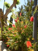 Capri &ndash; &copy; Yvonne Geisler (Eberhardt TRAVEL)