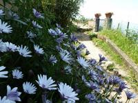 unser Wanderweg &ndash; &copy; Betina Marinow (Eberhardt TRAVEL)