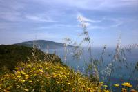 13.05.2015 Elba &ndash; &copy; Jutta Petzold-Herrmann (Eberhardt TRAVEL)