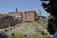 Forum Romanum &ndash; &copy; Martin Büchner (Eberhardt TRAVEL)