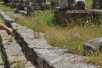 Forum Romanum &ndash; &copy; Martin Büchner (Eberhardt TRAVEL)
