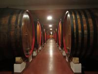Weingut ZONIN in Gambellara &ndash; &copy; Gisela Gerlach (Eberhardt TRAVEL)