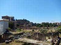 Nach dem Forum Romanum machten wir uns auf den Weg zum Kapitol und genossen letzte Blicke auf das riesige Forum &ndash; &copy; Dominik Zilliken (Eberhardt TRAVEL)