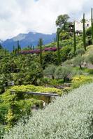 am Hang des Berges &ndash; &copy; Jens Trepte (Eberhardt TRAVEL)