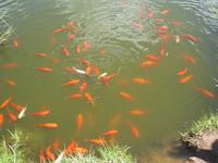 IMG_4174 &ndash; &copy; Kerstin Veit (Eberhardt TRAVEL)