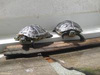 IMG_4201 &ndash; &copy; Kerstin Veit (Eberhardt TRAVEL)