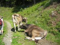 IMG_4260 &ndash; &copy; Kerstin Veit (Eberhardt TRAVEL)