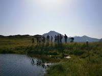 Gruppe am Hochmoor. &ndash; &copy; Björn Jansen (Eberhardt TRAVEL)