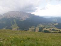 am Rosengarten
