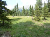 auf der Geisler-Alm &ndash; &copy; Yvonne Geisler (Eberhardt TRAVEL)