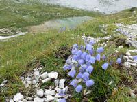 kleiner Alpensee &ndash; &copy; Betina Marinow (Eberhardt TRAVEL)