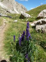 Pael  Talsenke 2.330 m &ndash; &copy; Betina Marinow (Eberhardt TRAVEL)