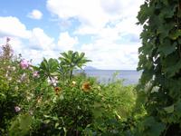 auf Salina &ndash; &copy; Adelheid Fritzsche (Eberhardt TRAVEL)