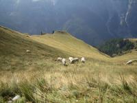 Nach rechts geht es tief hinab ins Vassa-Tal.  &ndash; &copy; Annett Seese (Eberhardt TRAVEL)